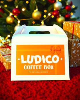 Coffee Box Navideña 4 Orígenes!